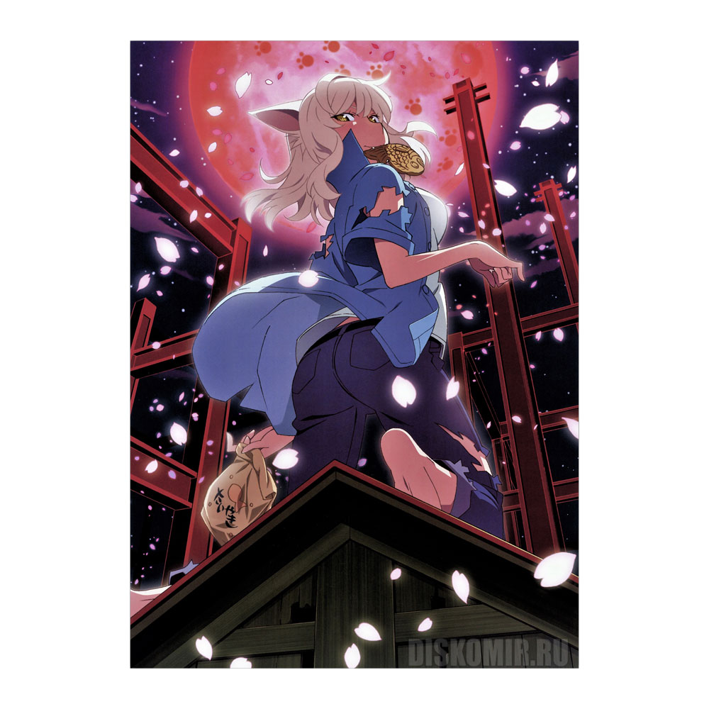 ������ �������� Nekomonogatari - ������ ��������