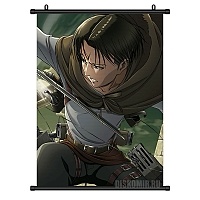   Attack on Titan Levi Ackerman