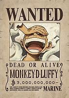   One Piece - Luffy Wanted Poster