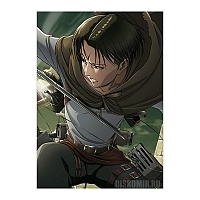   "Attack on Titan" Levi Ackerman