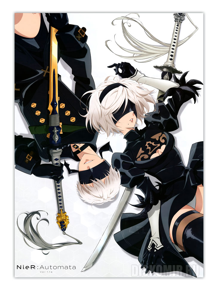 ������ �������� ����: �������� - ������ 1.1�