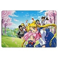    Bishoujo Senshi Sailor Moon 304823