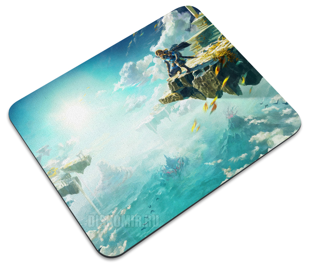     The Legend Zelda Tears of the Kingdom / Link