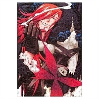  D.Gray-man ( A3, 252 ) 66998