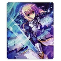    Fate/stay night 308260