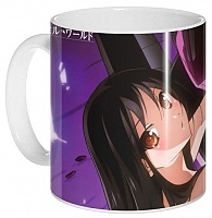  Accel World 310603