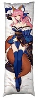   Fate Extra Caster
