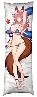     "Fate Extra" Caster
