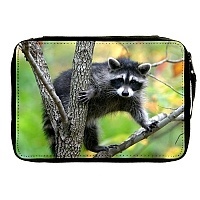   Animals Theme 330733