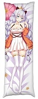   Honkai Impact 2