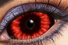 ������� ���������� �����