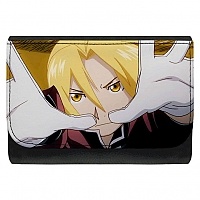  Fullmetal Alchemist 331113
