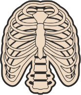 ������ ���������� ������ 1201