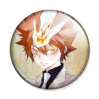  Katekyo Hitman Reborn! - Tsunayoshi Sawada