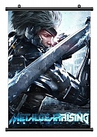   Metal Gear Rising: Revengeance 313256