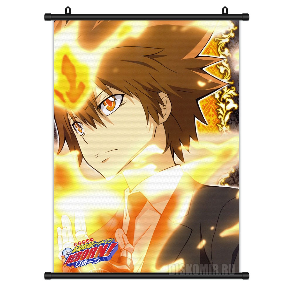 ���������� ������� ������� �������� Katekyo Hitman Reborn! Tsunayoshi Sawada �� ����� � ����� �������-������� ������! / Katekyo Hitman Reborn! / Kateikyoushi Hitman Reborn! / Home Tutor Hitman Reborn! / ���������-������ ������!