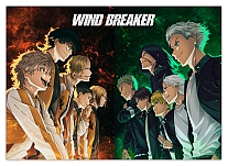      Wind Breaker 