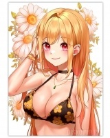   Sono Bisque Doll wa Koi wo Suru - Marin Kitagawa