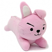 ����� �������� ������ Bangtan Boys BTS - Kookie Cooky