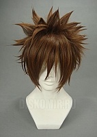 ������� ����� Hitman Reborn - Sawada Tsunayoshi / Devil Kings - Sarutobi Sasuke / Chinese Paladin 4 - Yuntianhe / Shiki - たなか あきら /