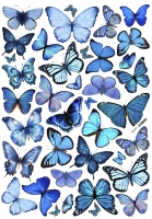 �������� ������� �1