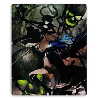    Black Rock Shooter 308228