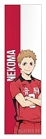 �������� ��� ���� Haikyu!! - Morisuke Yaku