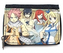   Fairy Tail 41064