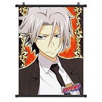   Katekyo Hitman Reborn! Hayato Gokudera