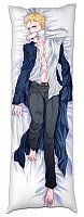   Fate/Zero  