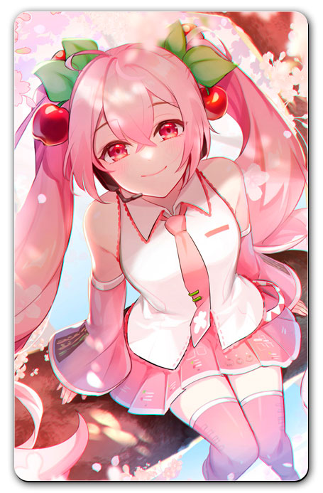 ������ ������������� �������� - ������ ���� No.6