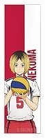   Haikyu!! - Kozume Kenma