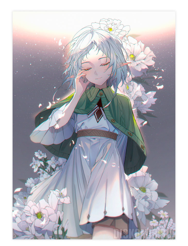 ������ �������� ������������ ������������ / ����������