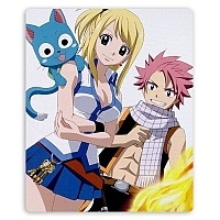    Fairy Tail 310052