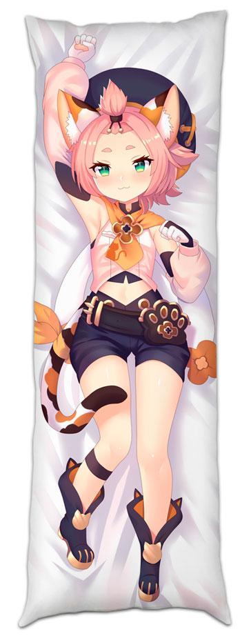 ���������� ��������� � �������� Genshin Impact - Diona