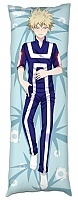     - Todoroki Shouto Ѹ   