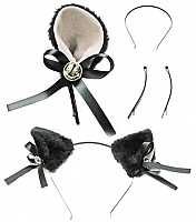 ���� �� ������ ������ � �����������