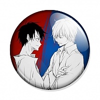  One Piece Sanji and Luffy