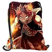    Fairy Tail 302294