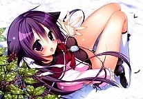   Yukikoi Melt