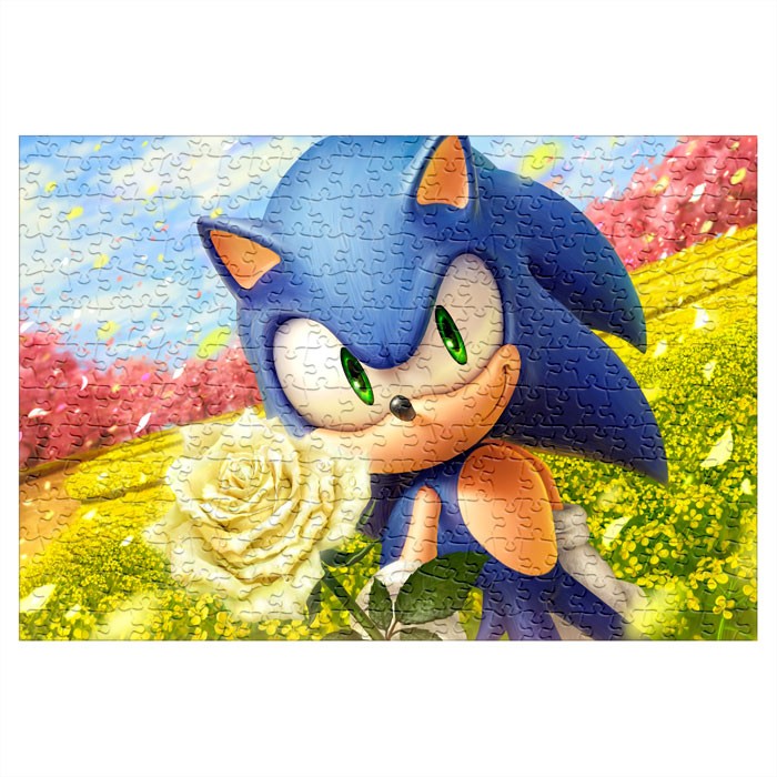 ���� Sonic (������ A3, 252 ������) 68214