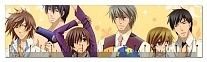  Junjou Romantica 349568