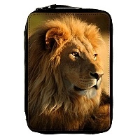   Animals Theme 330749