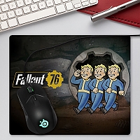    Fallout 76 - -