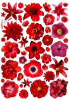 ������� ��������� ����� ������� �1