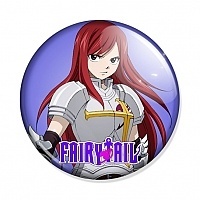  Fairy Tail 