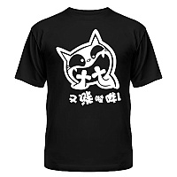  Funny Cat