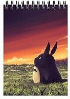    A6 Studio Ghibli - Totoro