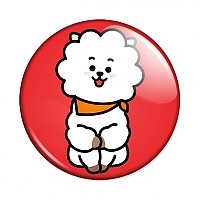  BT21 - RJ