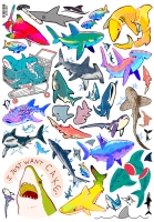 ������� ����� / Sharks